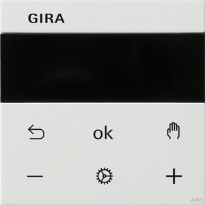 Gira RTR Display reinweiß (rws) 539327