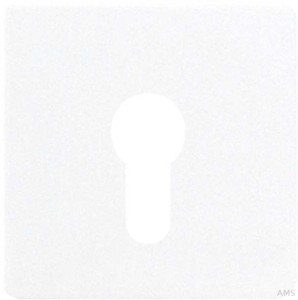 Jung Abdeckung grau für Schlüsselschalt. CD 525 GR
