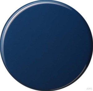Gira 091646 Wippe Tastschalter Wechsel S Color Blau