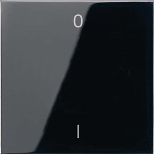Jung Funk-Wandsender schwarz 2-kanalig Symbole ENO LS 990-01 SW