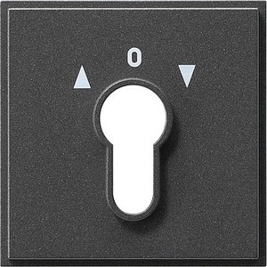 Gira 066467 Abdeckung Schlüsselschalter TX_44 (wassergeschützt unterputz) Anthrazit