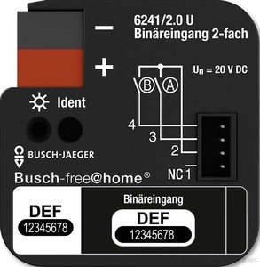 Busch-Jaeger Binäreingang 2-fach UP 6241/2.0 U