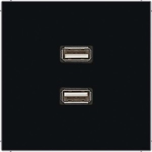 Jung Multimedia-Anschluss schwarz 2 x USB mit Tragring MA LS 1153 SW