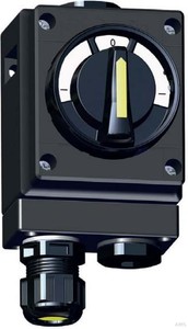 Stahl Ein-Aus-Schalter EEx e 8040/11-V30-033-B