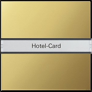 Gira 0140604 Hotel Card Taster mit Beschriftungsfeld System 55 Messing