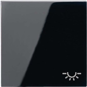 Jung Wippe Symbol LICHT schwarz für Schalter/Taster A 590 L SW