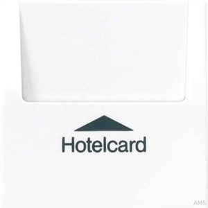Jung Hotelcard-Schalter lichtgrau ohne Taster-Einsatz LS 590 CARD LG
