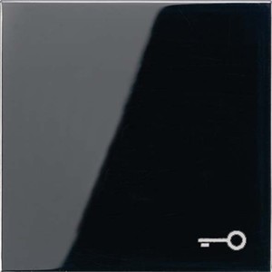 Jung Wippe Symbol TÜR schwarz für Taster LS 990 T SW