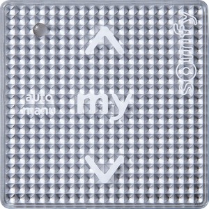 Somfy Motorsteuergerät Smoove Uno IB+Silver 1811204