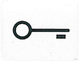 Jung Symbol alpinweiß (aws) TÜR 33 T WW