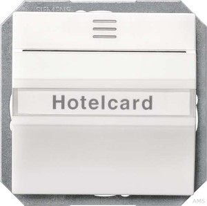 Siemens Hotelcardschalter Titan/ws 5TG4820