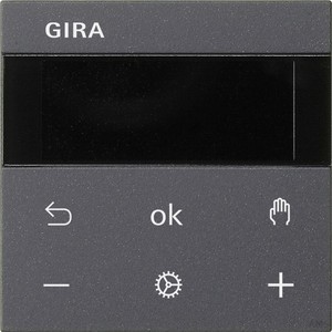 Gira RTR Display anthrazit 539328