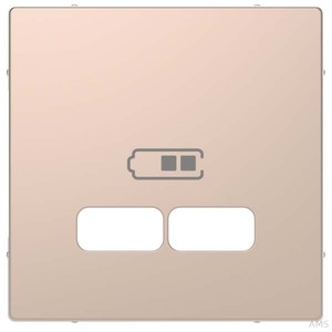Merten Zentralplatte cha-metall für USB Ladest. Einsatz MEG4367-6051